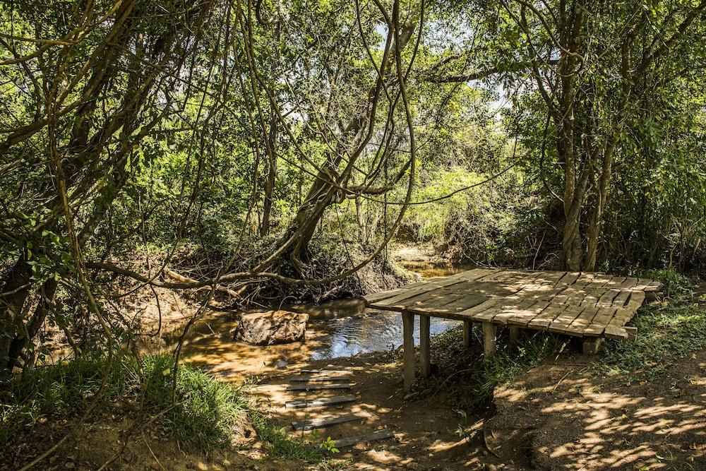 Amaara Forest Hotel Sigirija Zewnętrze zdjęcie