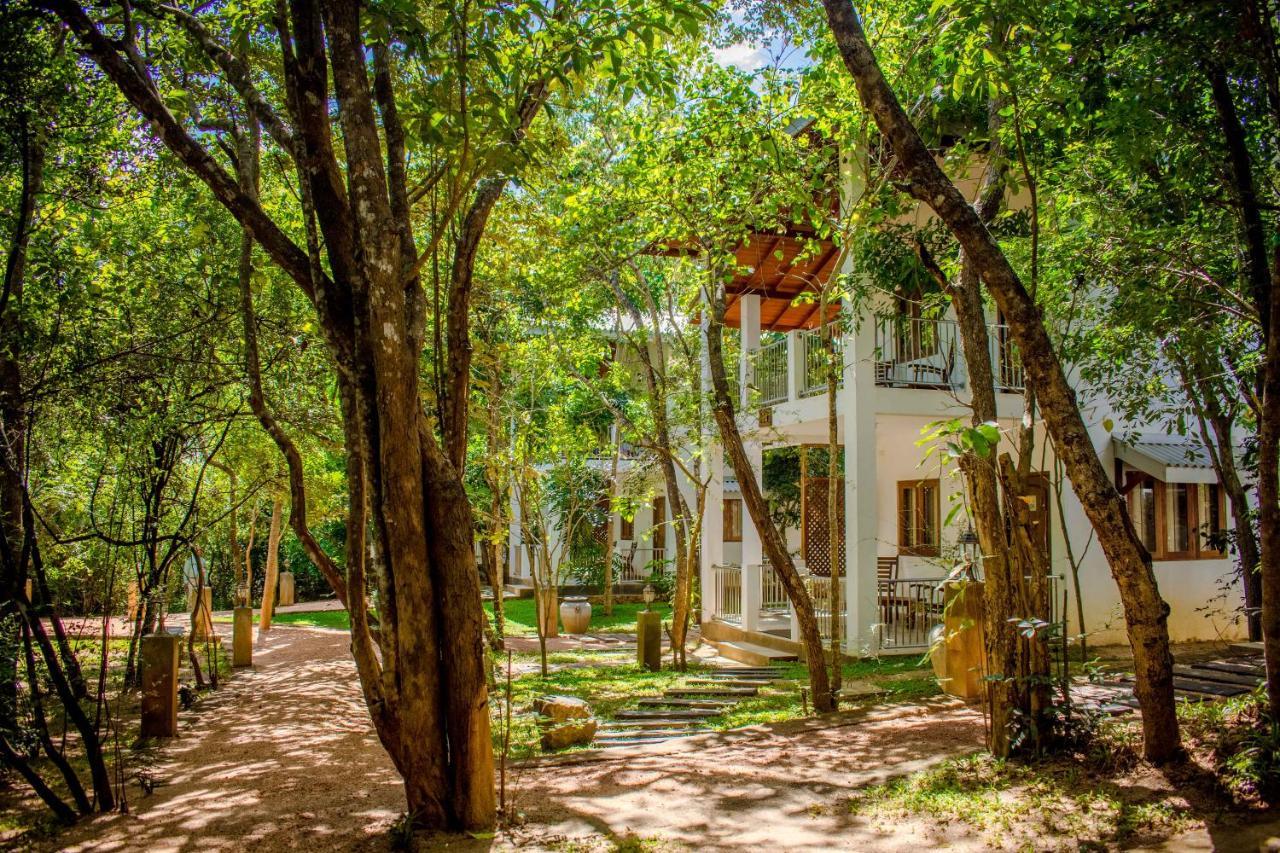 Amaara Forest Hotel Sigirija Zewnętrze zdjęcie