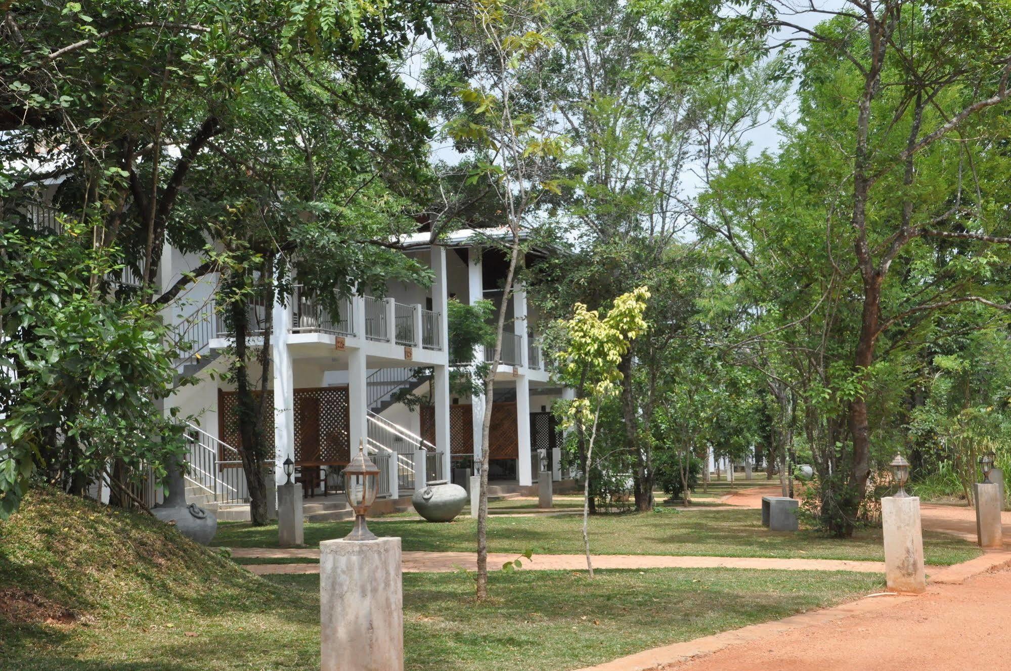 Amaara Forest Hotel Sigirija Zewnętrze zdjęcie
