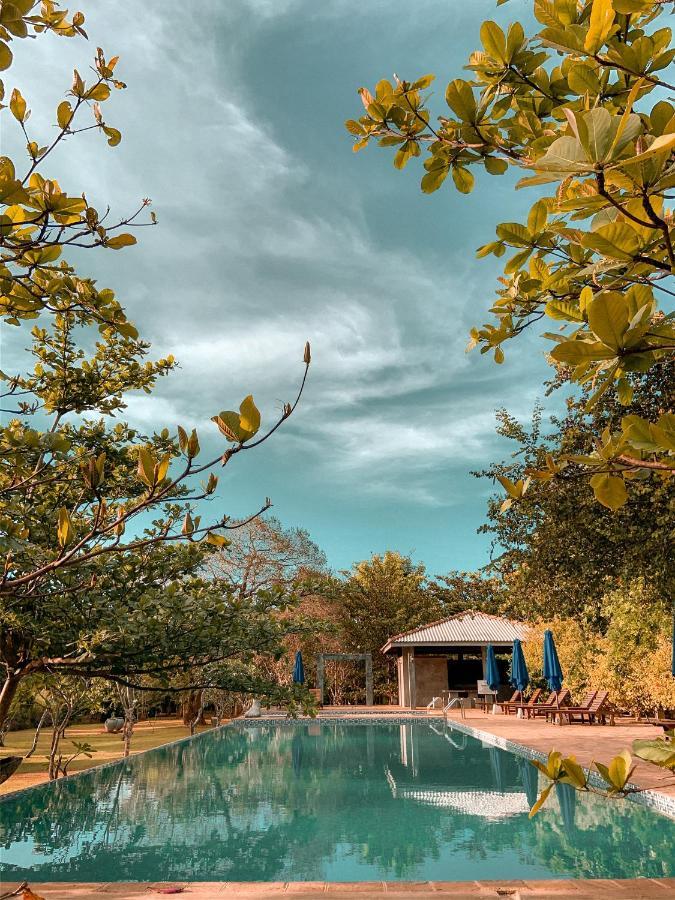 Amaara Forest Hotel Sigirija Zewnętrze zdjęcie